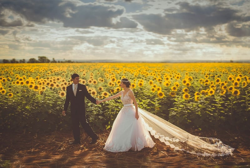 Bride in a Birdcage Veil